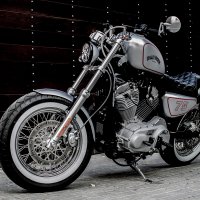 Кастом Harley-Davidson Sportster настоящий рыцарь дорог;
