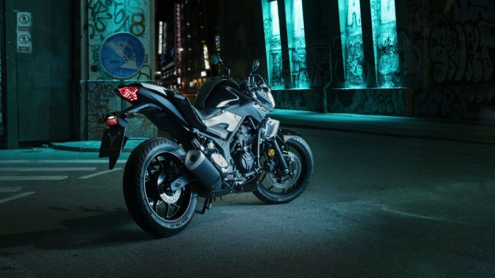 Всемирный гигант из Японии Yamaha Motor наконец то решила объявить цены на байк МТ-03 по Европе.