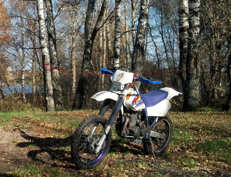 Yamaha TTR250R