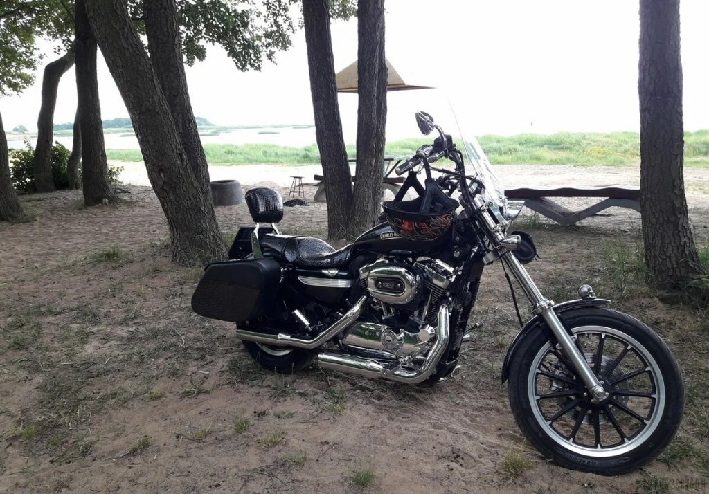 Отзыв о мотоцикле Harley-Davidson Sportster 1200 FX