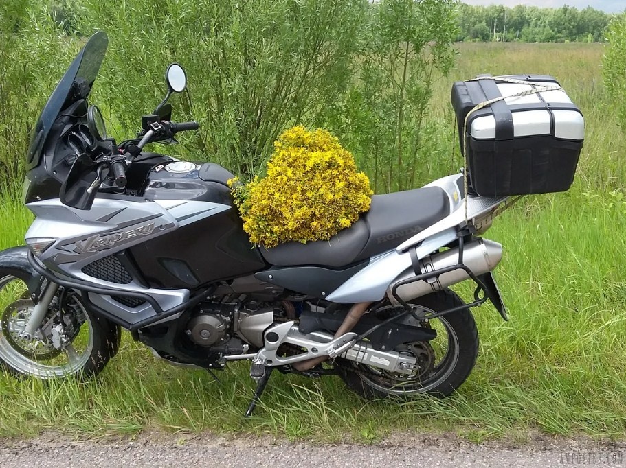 Отзыв о мотоцикле Honda XL1000 Varadero