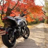 2020 Suzuki Katana: японский мотоцикл в немецком стиле