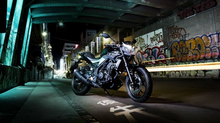 Всемирный гигант из Японии Yamaha Motor наконец то решила объявить цены на байк МТ-03 по Европе.