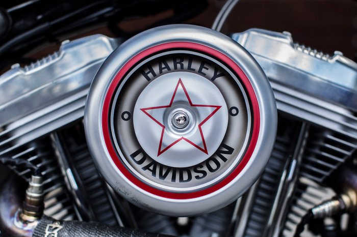 Кастомизированный Harley-Davidson Sportster